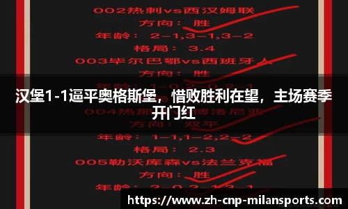 汉堡1-1逼平奥格斯堡，惜败胜利在望，主场赛季开门红