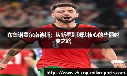 米兰体育中国官网